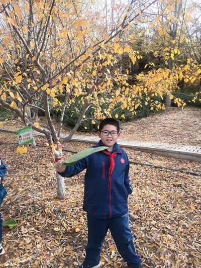 榆林市高新三小 三年级四班李明泰(本报讯 李明泰)