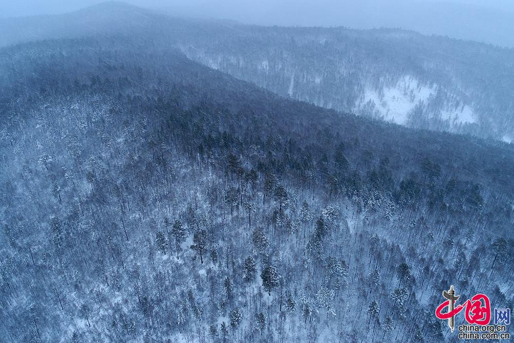 大兴安岭地区迎入春以来最大降雪林海雪原银装素裹组图