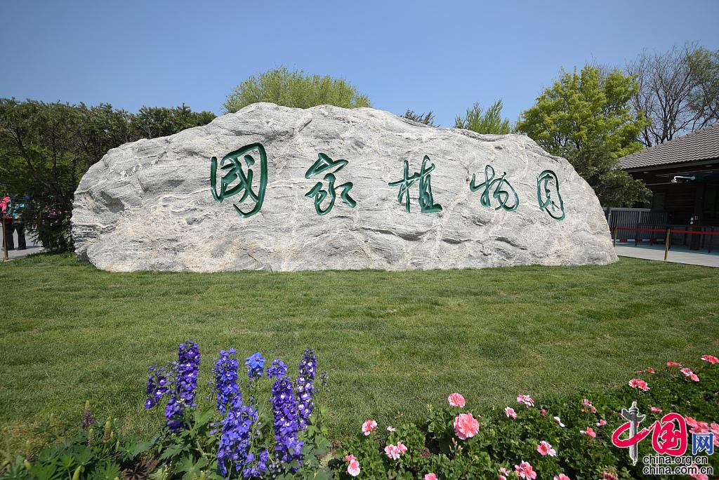 中国十大植物园图片