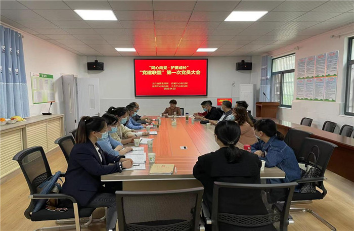 孔城,金神中心园党支部开展党建联盟活动 _中国网