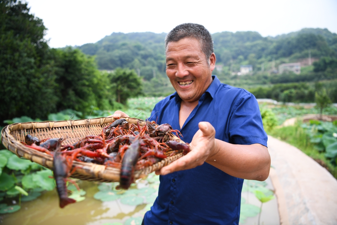 67四川泸州小龙虾游出致富路
