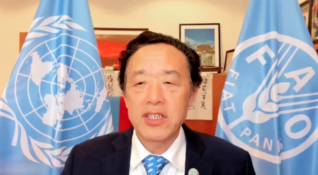 南宫NG·28娱乐(中国)官方网站联合国粮农组织发布《2022年粮食及农业状况》(图4)