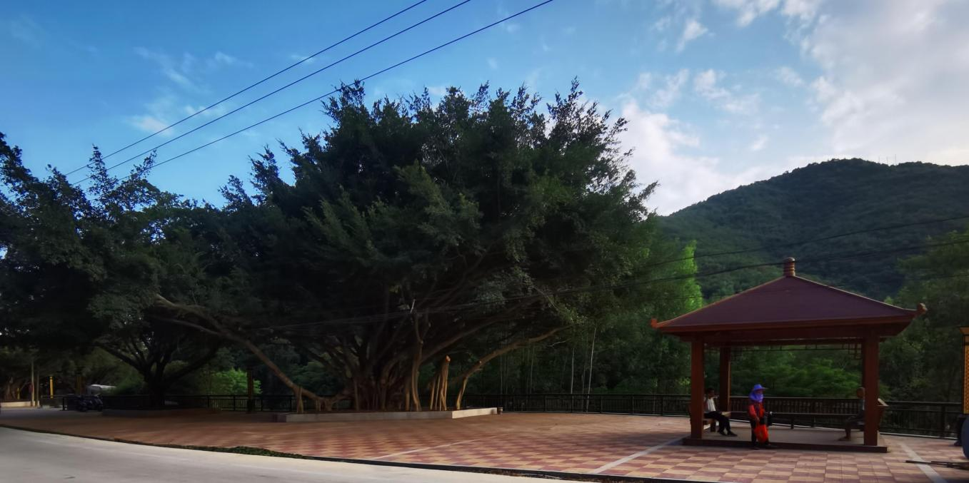 南安市康美镇梅魁村共建美丽乡村密织邻里幸福网