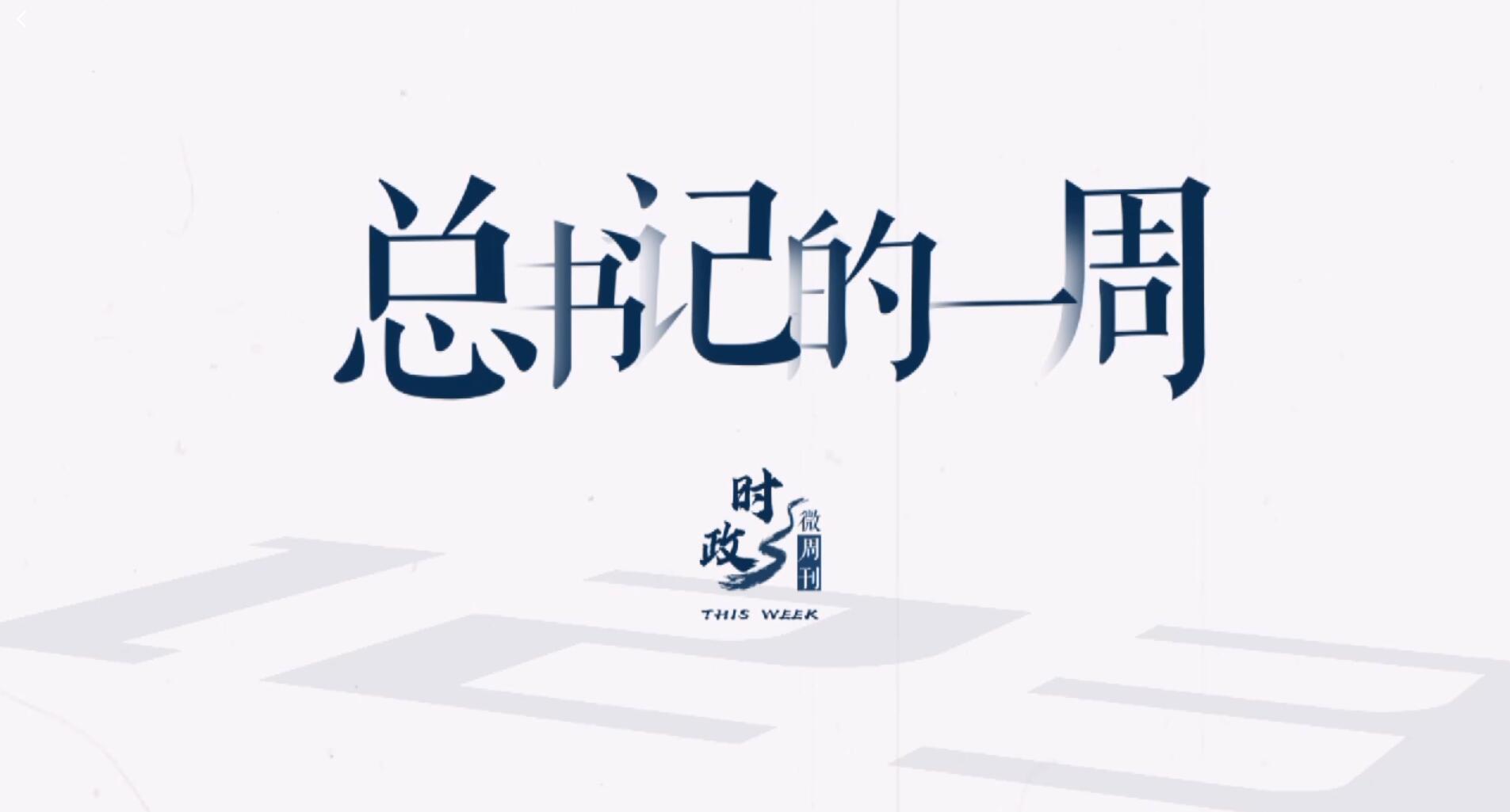 11月7日的星座：深入了解你的天体征象，探索宇宙中的个性轨迹 (11月7日的英文)