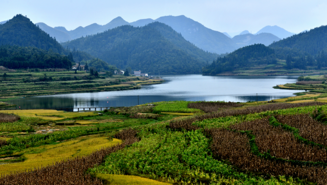 叙永仙草湖图片