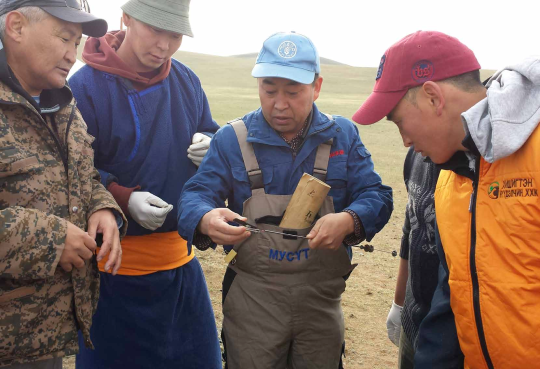 联合国粮农组织中国南南合作计划支持蒙古国在核心地区发展气候韧性
