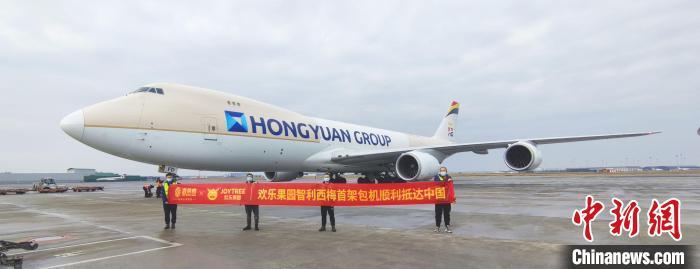 成都进口水果需求旺盛近3个月进口总量达2019年45.68倍