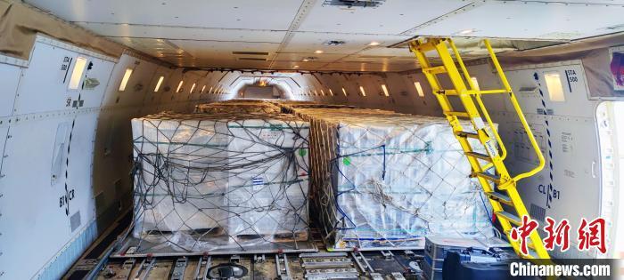 智利西梅抵达成都双流国际机场。 成都市双流区供图