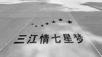 北大荒:打造“拴心留人”的农科人才高地