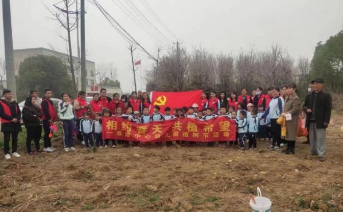 桐城林业开发：绿色产业迎来新机遇