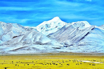 西藏：雪域高原繪出發展新畫卷