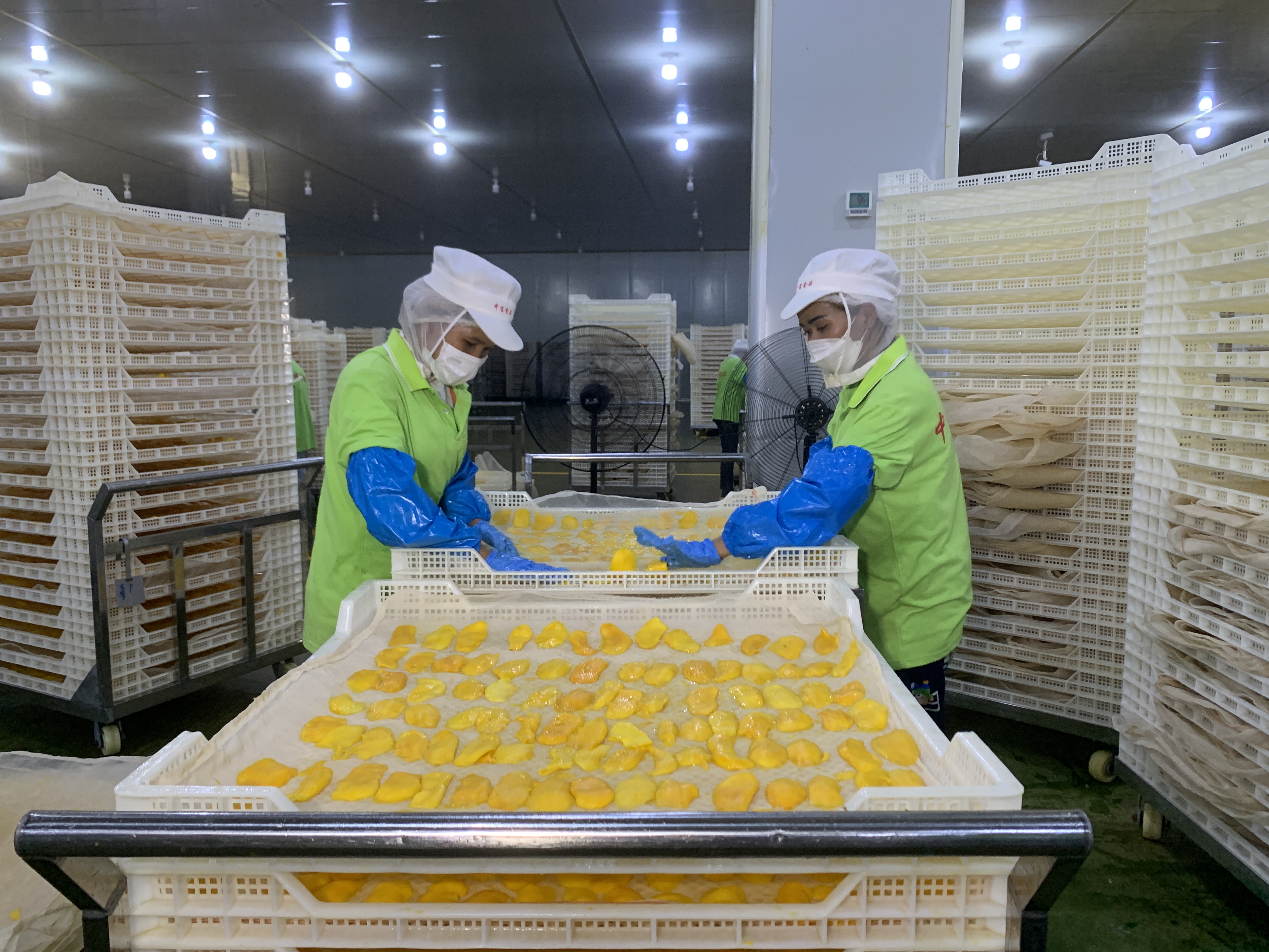 柬媒：中国对柬埔寨投资稳步攀升