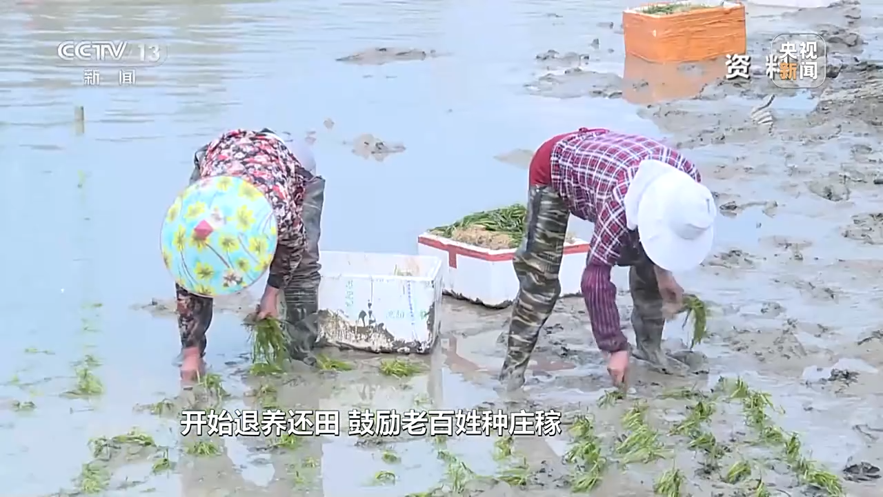 半岛BOB新朋友落户“浙”里 背后有怎样的故事？(图15)