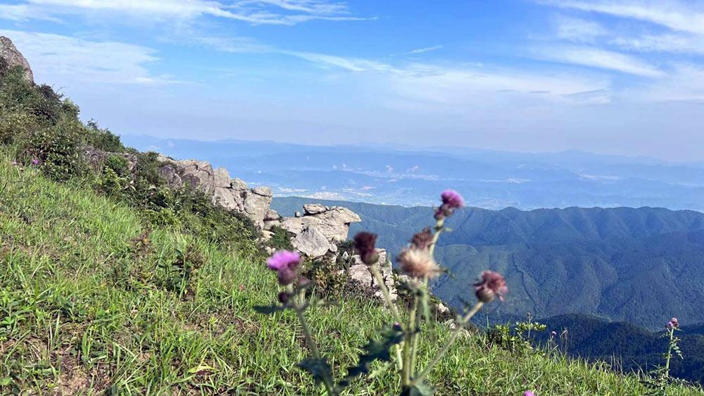 永新秋山介绍图片