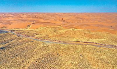 中卫治沙七十年:让沙漠从距城区五公里处退到二十公里外