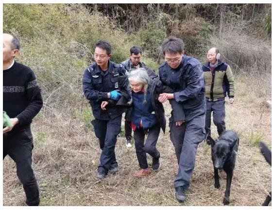 张平军坚守警犬为民的职业情怀