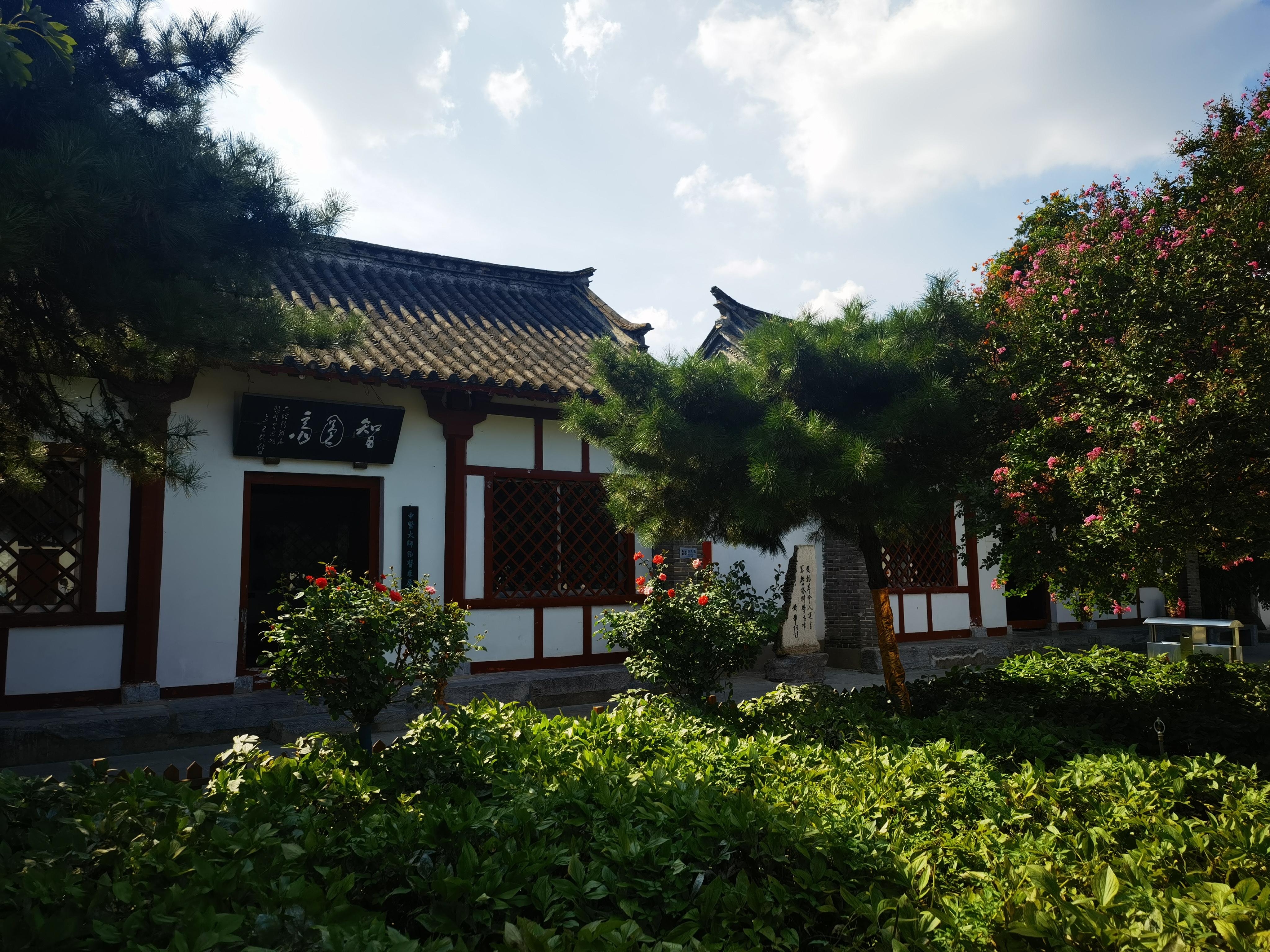 爱卫新征程健康中国行仲景故里南阳让热闹夜市注入养生基因