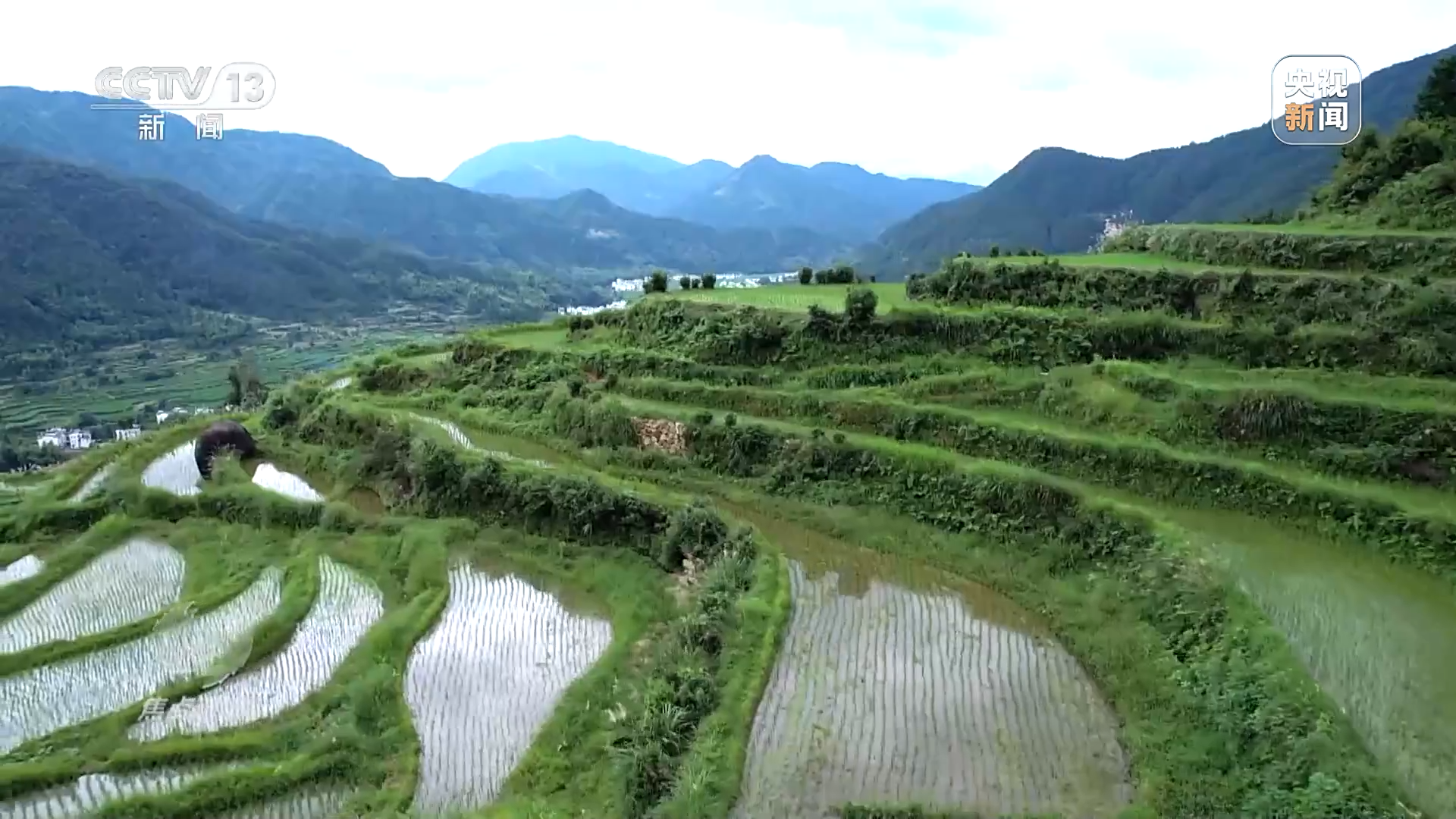 焦点访谈丨传播两山理念践行生态文明