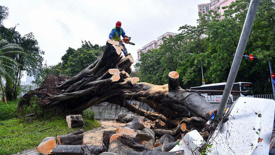 “苏拉”以强台风级登陆广东珠海 近距离影