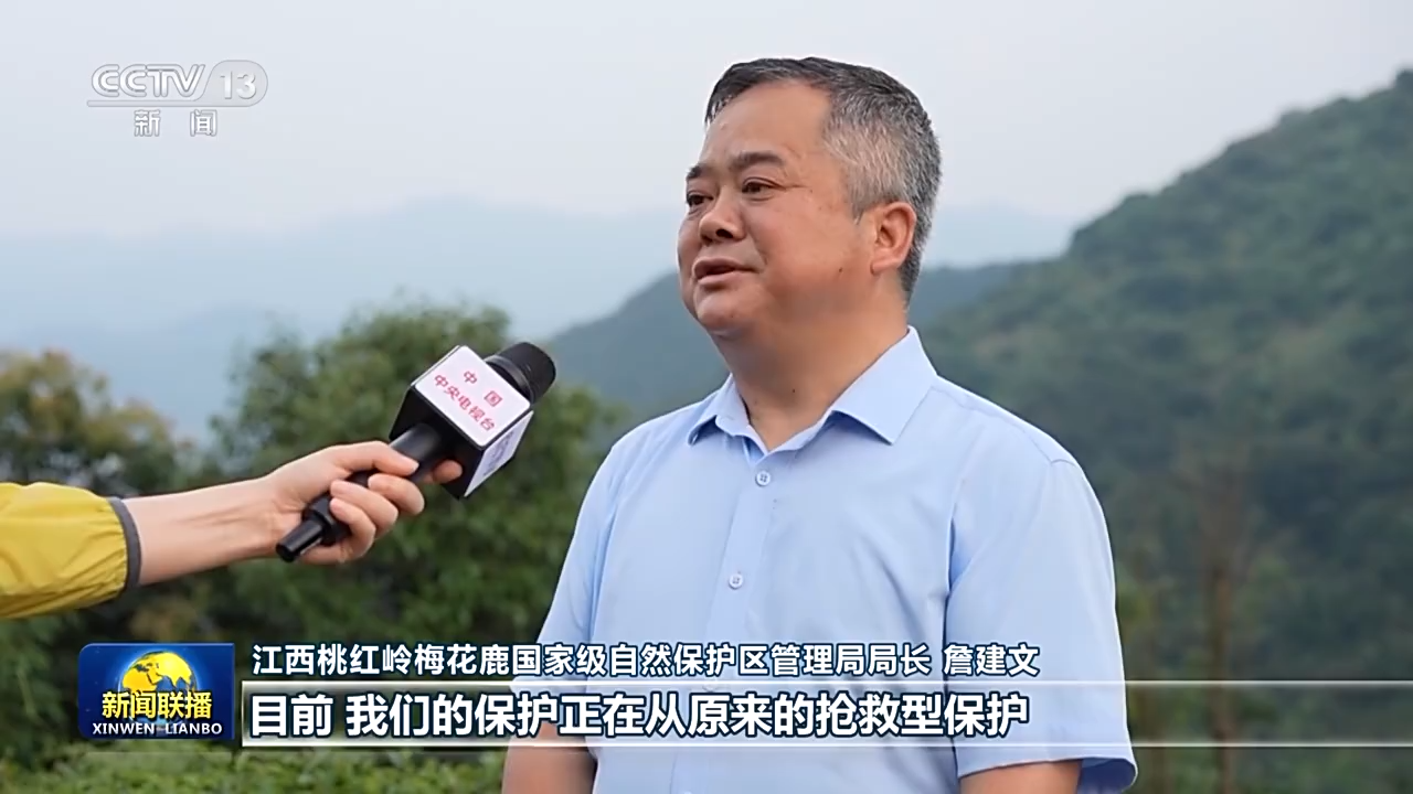 中国>新闻热点>江西桃红岭梅花鹿国家级自然保护区管理局局长 詹建文