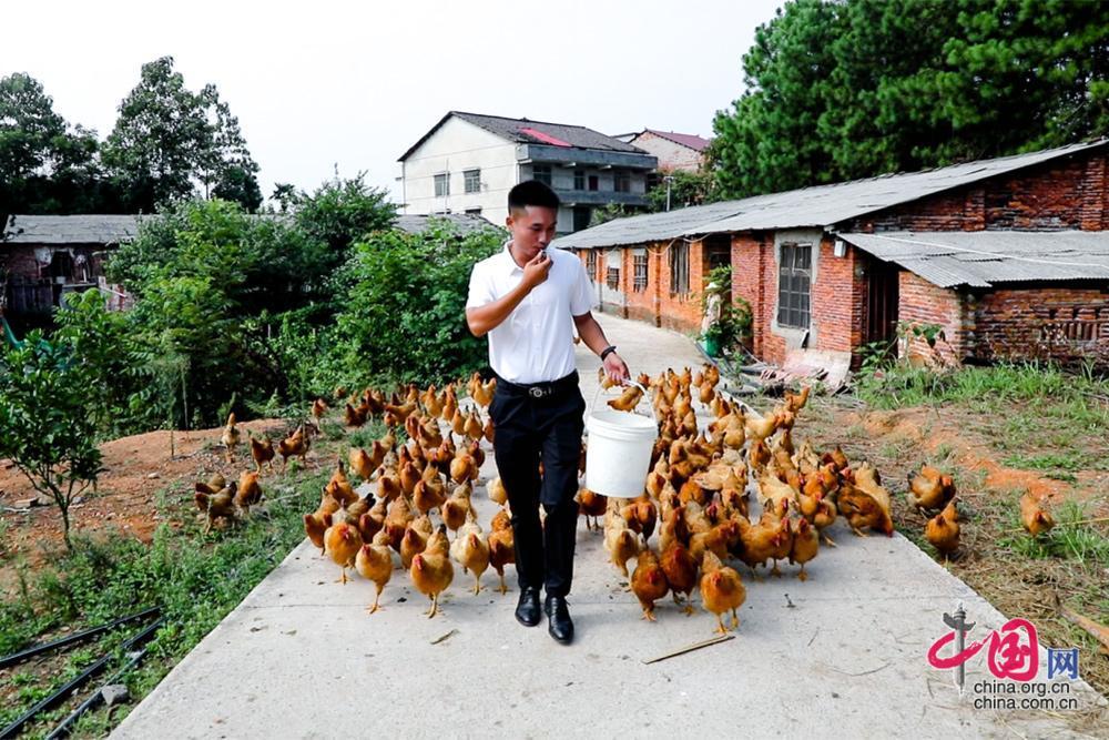 乡村振兴新“鸡”遇  壮大集体经济促增收