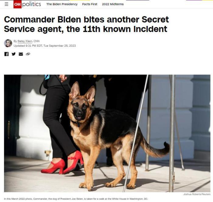第11次拜登宠物狗指挥官又咬伤警卫人员