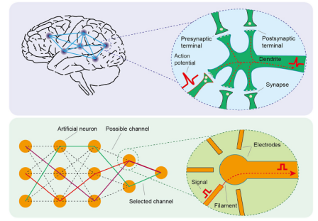 我国科学家在类脑芯片领域取得新进展