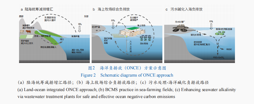 海洋负排放——基于地球系统科学思维的海洋科技变革_中国网