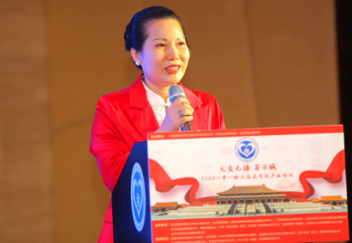 2023一带一路三亚文商旅产业论坛在海南三亚市举行