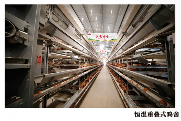 大连五星级绿色食品生产基地花落洪家