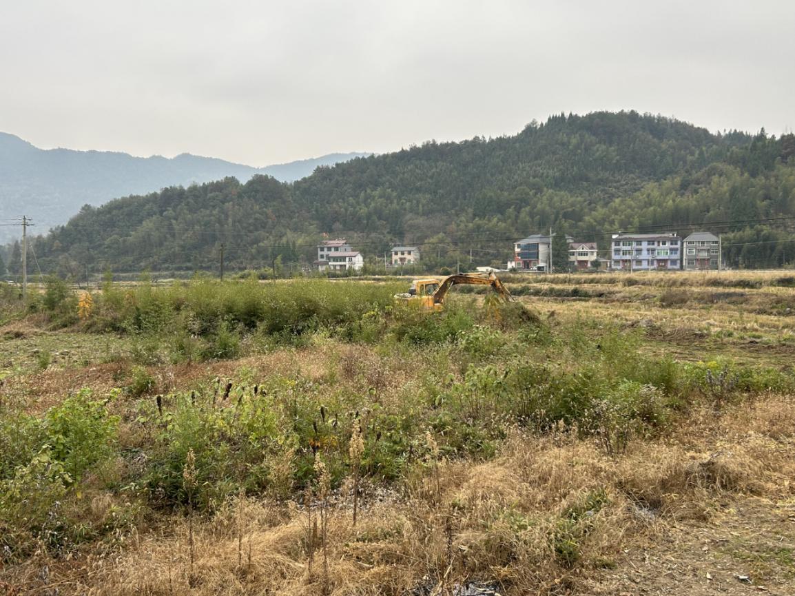 开展荒废农田整治行动 营造宜居生活环境