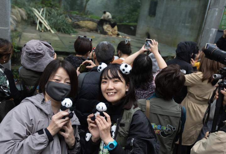 最萌“中国使者”！50多只“驻外”大熊猫全球圈粉不停步
