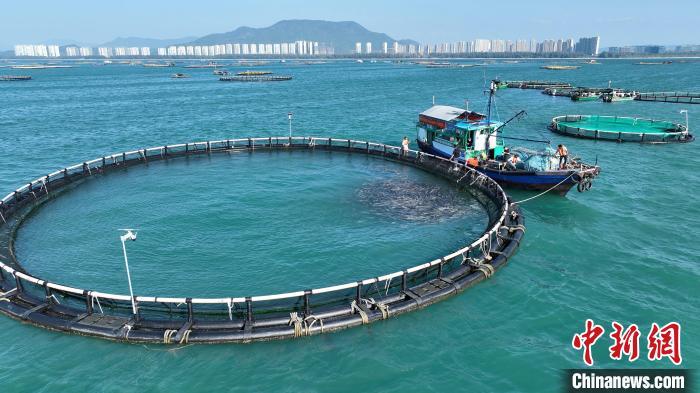 海南陵水：依托自然优势大力发展水产南繁种业