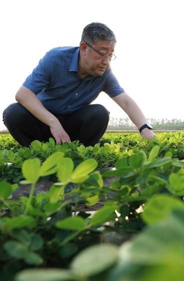 技术创新勤耕耘花生产业焕生机