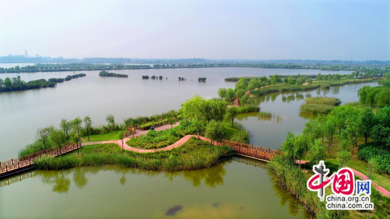 徐州市生物多样性保护：缔造生态环境之美，好生态，鸟自来