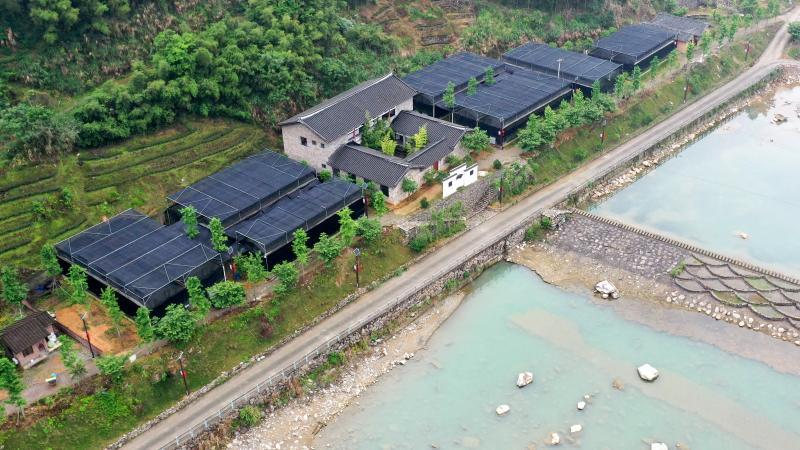 福建寿宁:驻村"第一书记"苏亮永的"致富经"