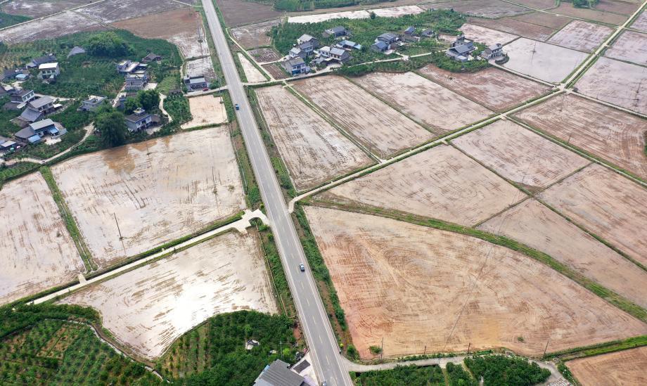 四川省眉山市丹棱县:"铁牛"轰鸣 机械助力插秧忙