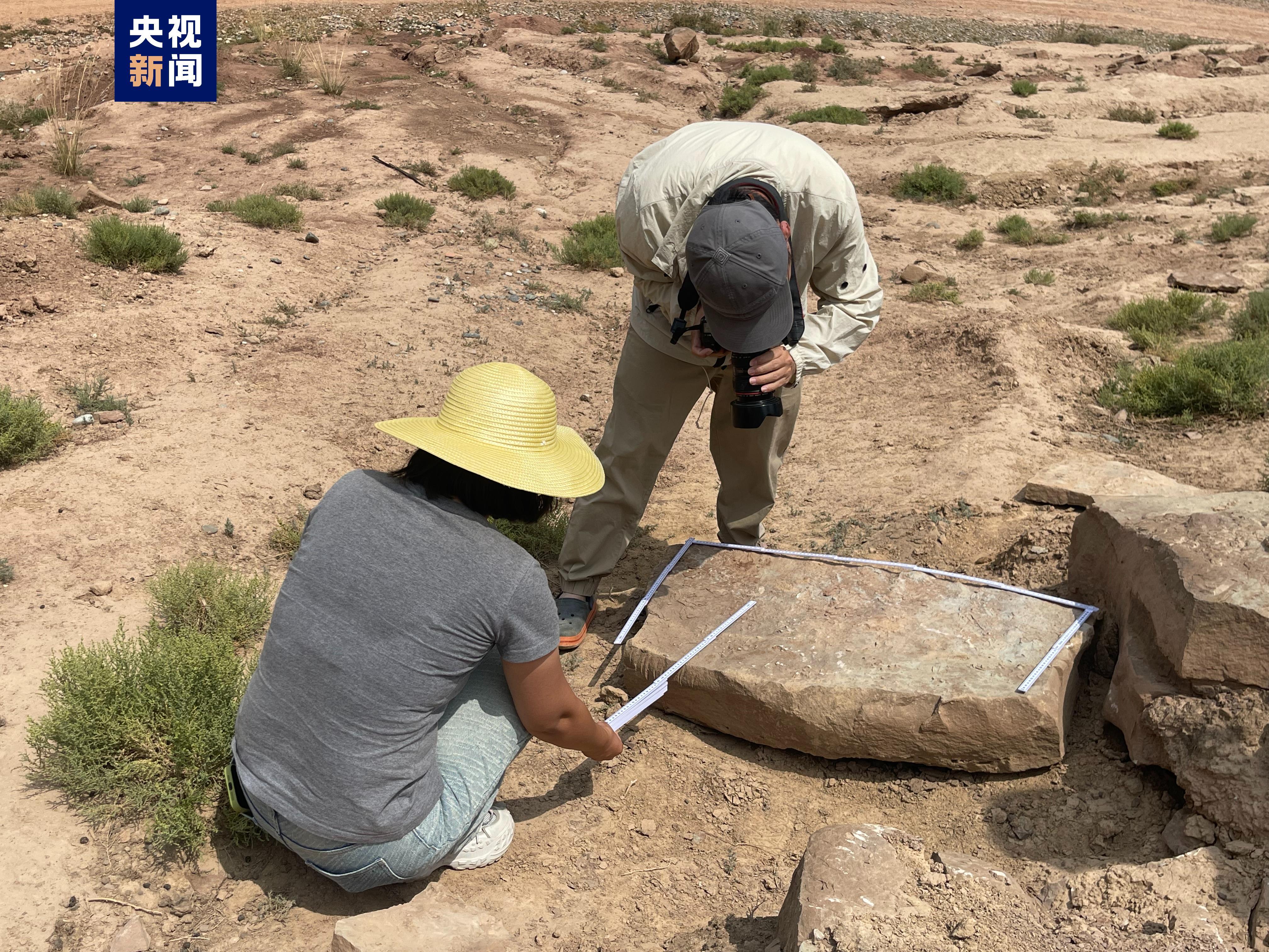 甘肃临夏新发现白垩纪微小型恐龙足迹化石 