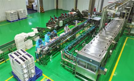 1723446282040.jpg 1723446282040.jpg