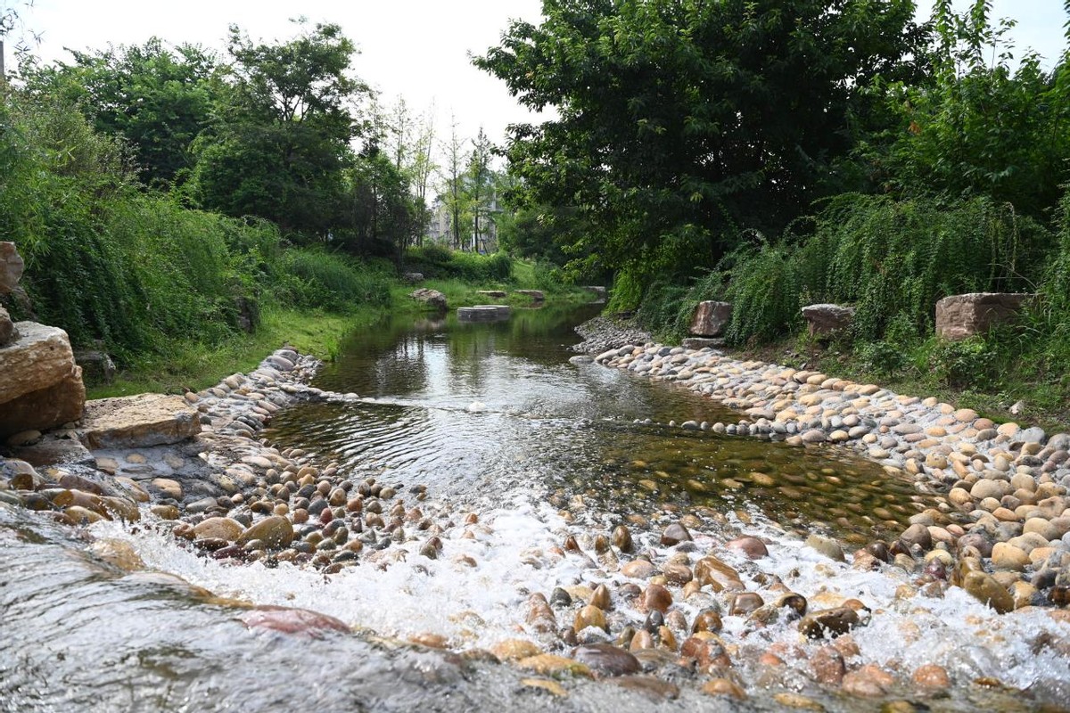 四川省自贡市荣县天宇湿地公园盛大开放 市民乐享水景