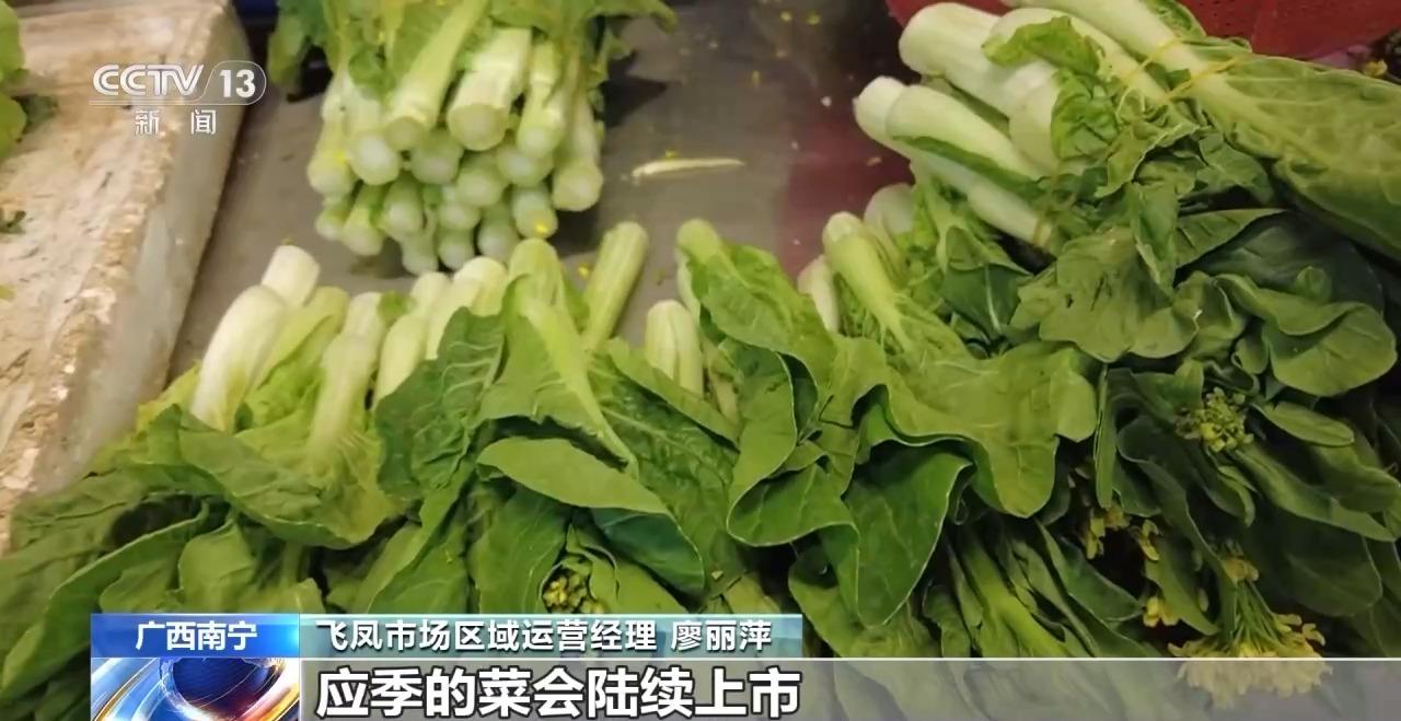 入秋后蔬菜价格逐步回落 应季菜陆续上市