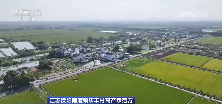 江苏溧阳南渡镇庆丰村高产示范方迎丰收现在看到的绿色的稻田画是9月