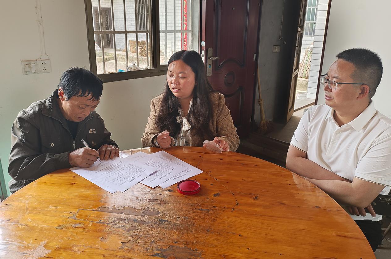 四川自贡:富顺县石龙村第一书记彭莉娜助力乡村振兴