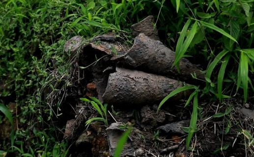 1735198221677.jpg 1735198221677.jpg