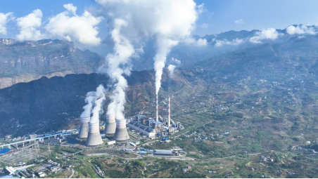 1735198200401.jpg 1735198200401.jpg