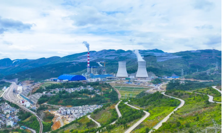 1735198231335.jpg 1735198231335.jpg