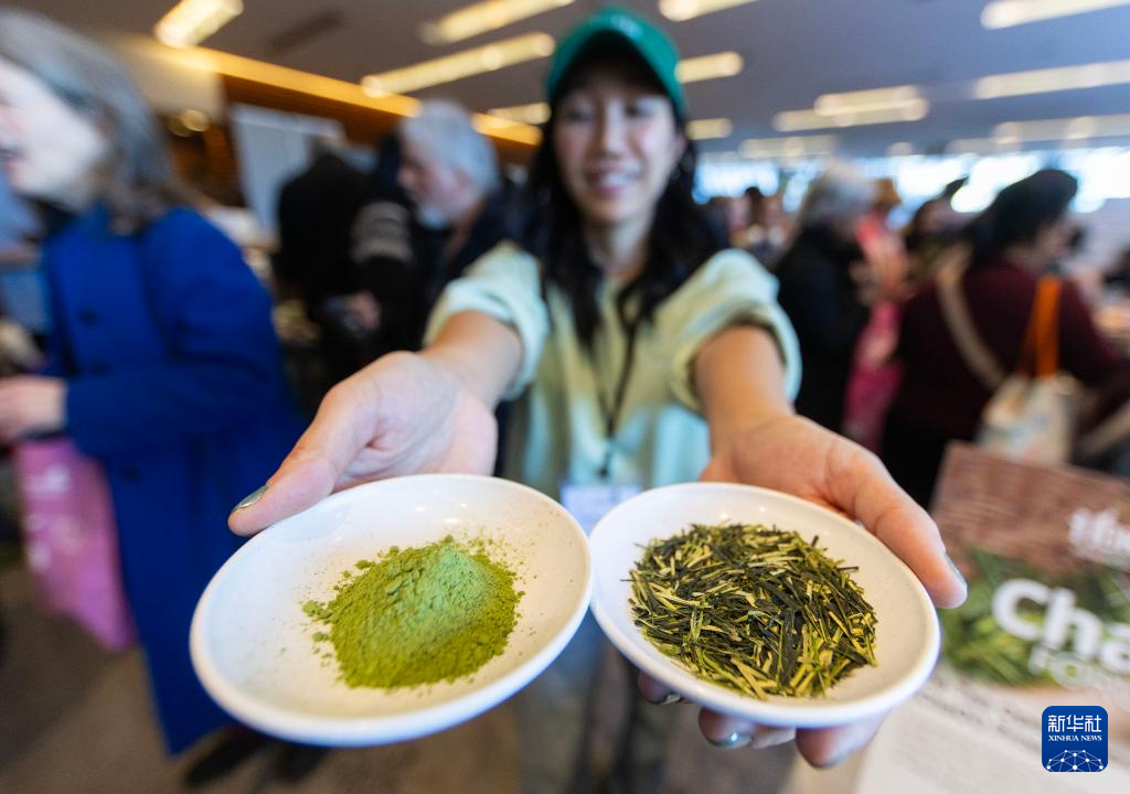 多伦多举办茶文化节泛亚电竞(图3)