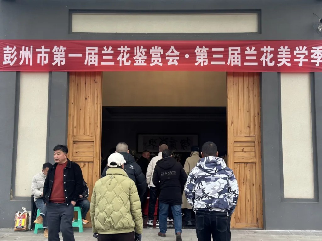 8000盆兰花参展！丽春镇第一届兰花鉴赏会暨第三届兰花文创美学季圆满落幕