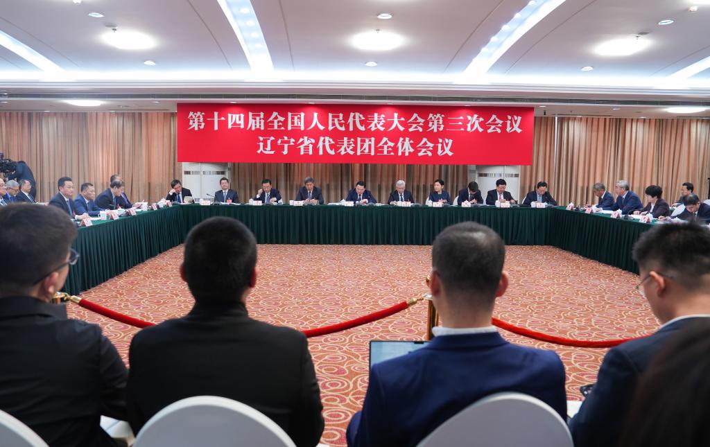 两会丨辽宁代表团举行开放团组会议_2025全国两会_中国网
