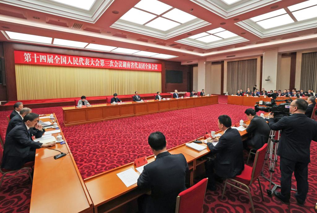 两会丨湖南代表团举行开放团组会议_2025全国两会_中国网